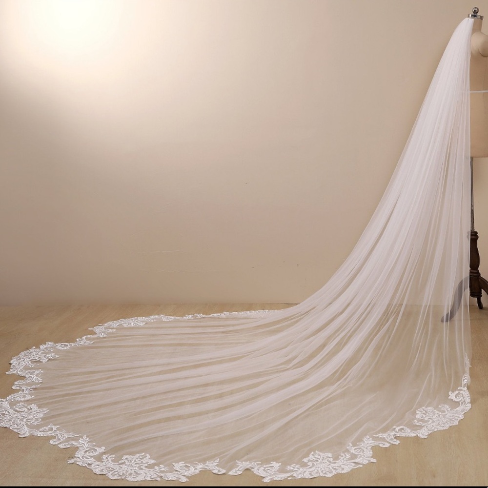 Ivory Cathedral veil with lace edge and blusher
